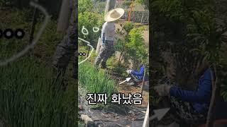 깐죽대다 화난 마누라보고 급당황 !비상!비상!#시골살이#초보농사꾼