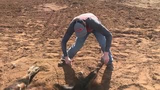 Steer roping instructional video 2 Tying