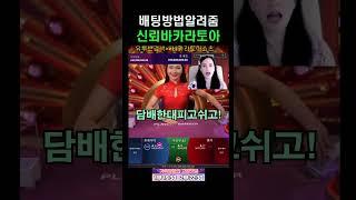 바카라 분산 배팅 방법 #강의 #교육 #성공