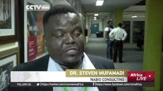 South African scientists using nanotechnology to fight malaria