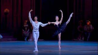 4K HDR - RUSSIAN BALLET SWAN LAKE - part 2 - Ulyana Lopatkina - Valery Gergiev