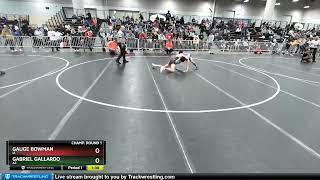 145 Lbs Champ. Round 1 - Gauge Bowman, IA Vs Gabriel Gallardo, AZ D4a8