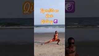 Tiger Qi Gong on the Beach #qigong #fitness #beach #taichi