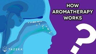 How Aromatherapy Works