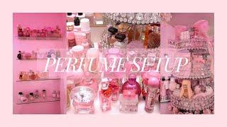 Perfume Organization & Setup