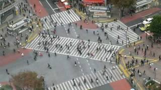 Studio 360 in Japan: Shibuya intersection