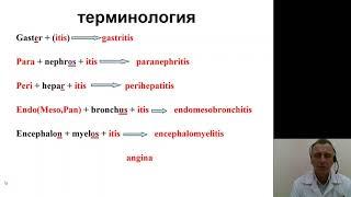 Патанатомия 3.Воспаление
