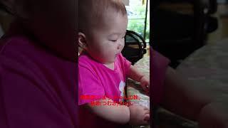 陽葵里(ひまり)ちゃんの妹、紬希(つむぎ)ちゃんの離乳食。手づかみ上手だねぇ。#陽葵里ちゃんの妹#紬希ちゃん#陽葵里#ひまりちゃん#ひまり#つむぎちゃん#つむぎ#離乳食#手づかみ#上手#10ヶ月