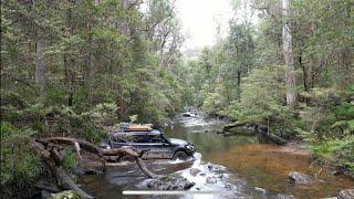 Mitsubishi Pajero exploring the Barrington Tops