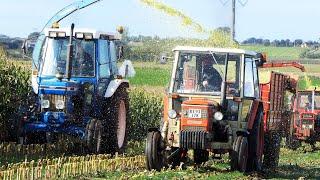 Vintage Corn Silage Day 2024 | Maisernte - Mais Silage | Great Machinery in The Field