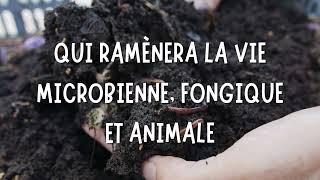 Permatheque - La Permaculture solution pour un jardin vivant - 5 conseils essentiels pour comprendre