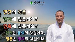 3396강 인간의 죽음, 인기에 있을까요? 인육에 있을까요?-인기는 윤회의 차원이요, 영혼은 빙의의 차원이라[선순환시대 인문학 힐링타운]