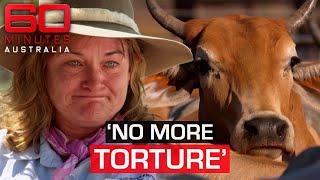 Cattle farmers' heartbreak as thousands fight to survive | 60 Minutes Australia