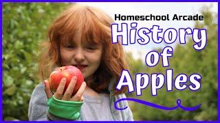 History of Apples in the United States & Johnny Appleseed