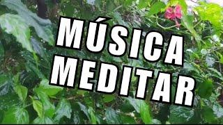 Música para Relaxar e Meditar ...