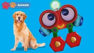 Learn About Dogs & Animals for Kids with Robi | Animals Names & Sounds | Wild Animals for Children