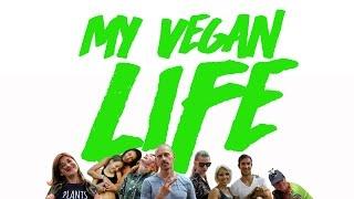 IFEEL - MY VEGAN LIFE