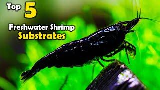 Top 5 Aquarium SUBSTRATES for Freshwater Shrimp - How to Breed Shrimp