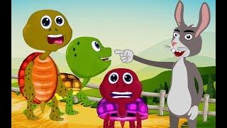 Animation Shot Story Turtle VS Rabbit | Dab Neeg Vaub Kib Thiab Luav Sib Tw