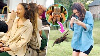 Tarantula SCARE, Hairitage Family Photoshoot, Robotic Competition, and MORE!