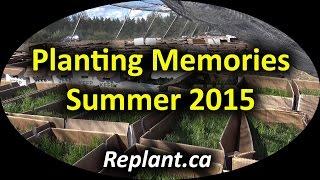 Replant.ca 2015 Summer Tree Planting Memories