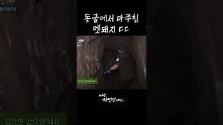 동굴에서 마주친 멧돼지 ㄷㄷ #shorts