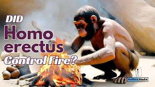 Did Homo erectus Really Cook Food?