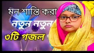 এম এস টি বিলকিস খাতুন// নতুন নতুন //গজল বাংলা /তিনটের //mp3// bilkis Khatun mob//7797740350