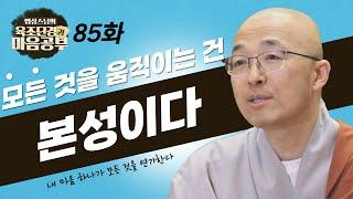 모든 것을 움직이게 하는 것은 '본성'이다 - [법상스님의 육조단경과 마음공부 85회]