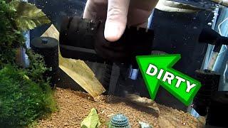 Do You Clean Aquarium Sponge Filters? - Shrimp Keeping