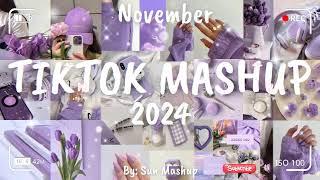 Tiktok Mashup November 2024 (Not Clean)