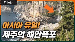 제주도에 있는 아시아에 유일한 바다폭포와 산숲의 거대폭포 가보기│정방폭포, 천지연폭포 [Travel to Jeju in Korea]