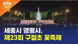 [BTN뉴스] 세종시 영평사, 제23회 구절초 꽃축제