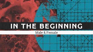 In The Beginning // Male & Female