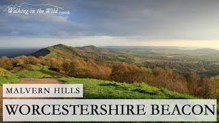 Worcestershire Walks:  Worcestershire Beacon