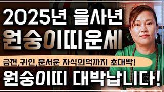원숭이띠 주목! 2025년 하반기 운명이 바뀝니다! 원숭이띠운세 심상치않다!! 무조건 찾아오는 변화와 기회들은? 56년생 68년생 80년생 92년생 원숭이띠 운세