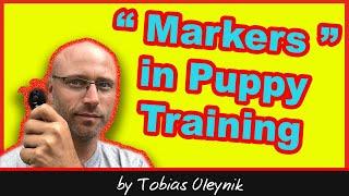 Puppy Training - Marker Word, Clicker or nothing at all?  | Online Dog Training by Tobias Oleynik