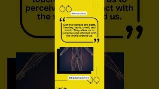 Did you know that the human body has five senses | Facts About Human Body | Facts and Hacks