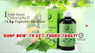 KENVIC  Medi-Synergy Liquid Mulberry Chlorophyll with Lemons