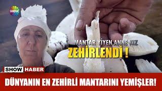 Dünyanın en zehirli mantarını yemişler!