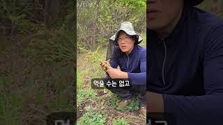 고사리 먹는법