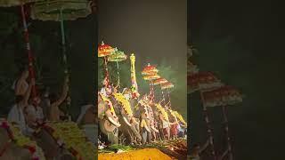 Kerala Temple Festivals  Elephant Festival in Kollam  Festivals of India ️ 2