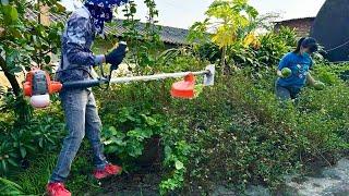 Single Girl's Prayer Backyard Afraid of Snakes and Mosquitoes Clean up, cut grass, saw trees