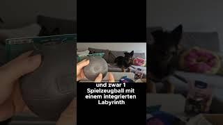 Leckerlieball mit Labyrinth #fressnapf #hunde #thp #tierhaltung #unboxing #hundebox #überraschung