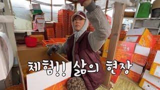 SUB 단순로그282 in Jeju 체험!! 삶의 현장 vlog