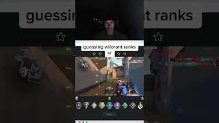 SINATRAA GUESSING VALORANT RANKS 