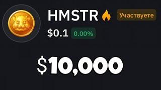 КУПИЛ HAMSTER на 10,000$ что ДАЛЬШЕ?