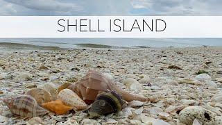 Shelling on Shell Island. A private shelling tour at low tide to find beach treasures!