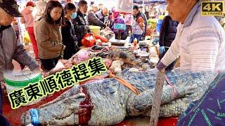 At the market in Shunde, Guangdong, China, locals rush to buy crocodiles