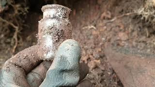 #Bottle digging with wolf spirit outdoors.  #Digging victorian Bottles.